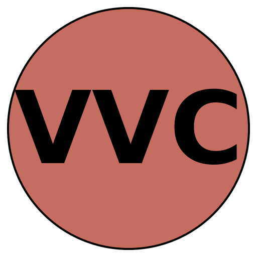 VirtueVision Careers